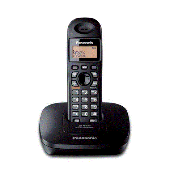 تصویر  تلفن بی سیم پاناسونیک مدل PANASONIC KX-TG1611BX