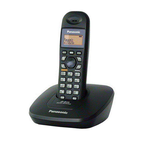 تصویر  تلفن بی سیم پاناسونیک مدل PANASONIC KX-TG1611BX