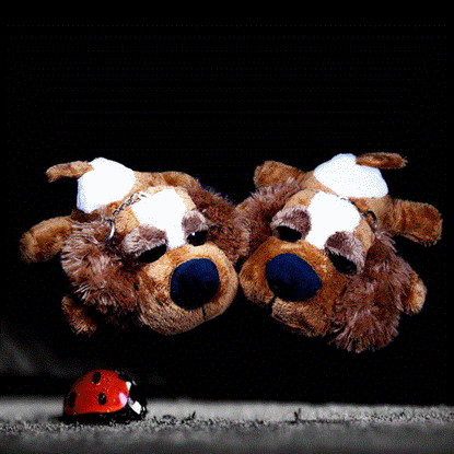 تصویر  عروسک های پولیشی طرح سگ خوابیده