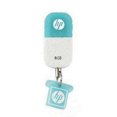 تصویر  فلش مموری پاک کنی HP 175 با ظرفیت 8GB