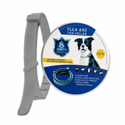 تصویر  قلاده ضد کک و کنه سگ ماندگاری 8 ماهه
