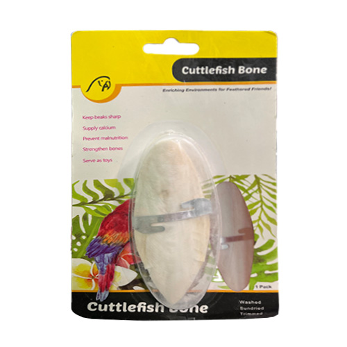 تصویر  کف دریا پرندگان وزن 15 گرم